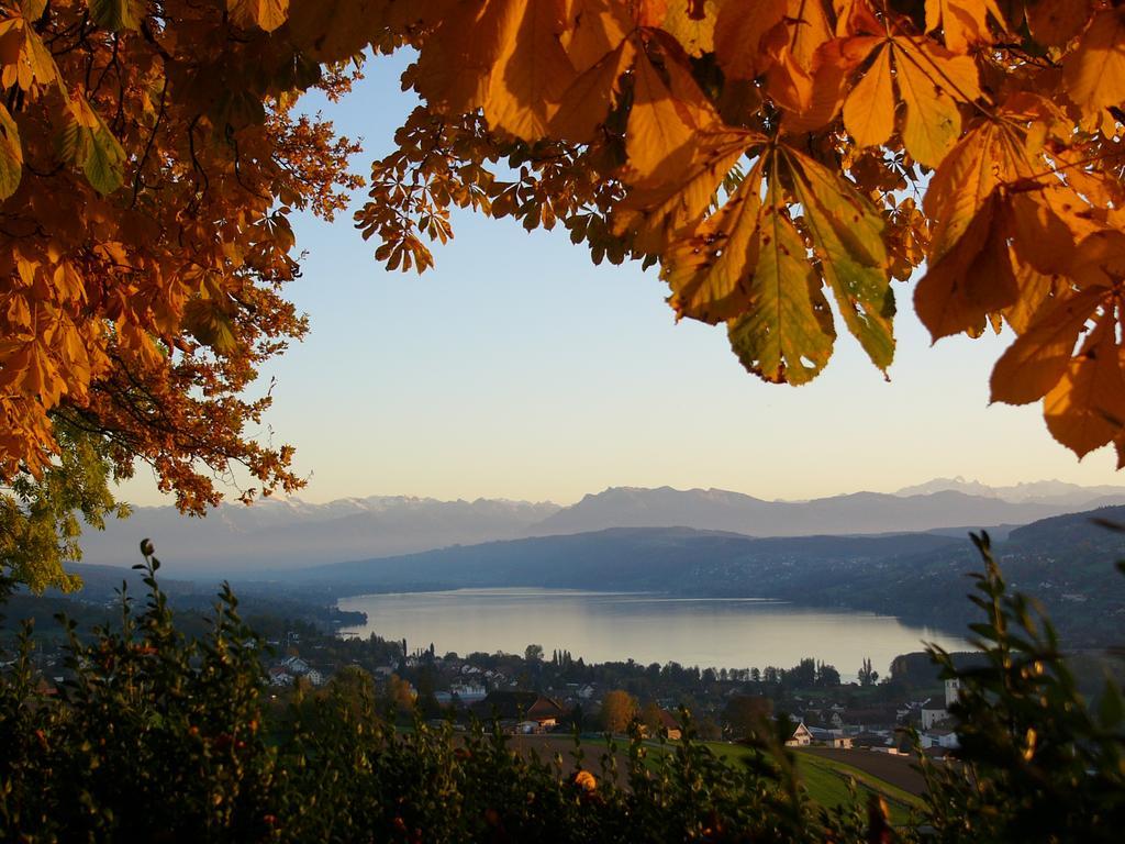 Hotel Restaurant Eichberg Seengen ภายนอก รูปภาพ