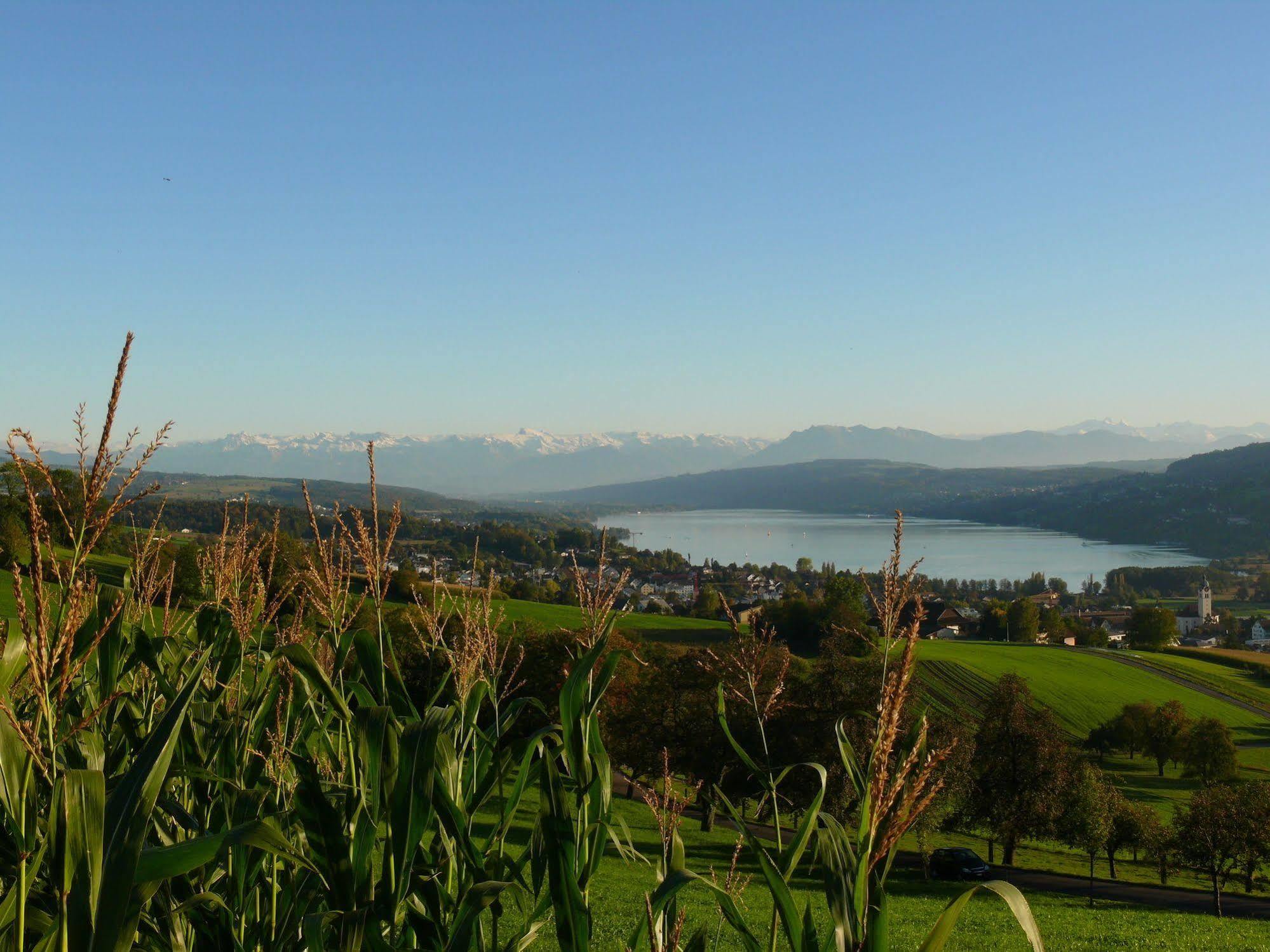 Hotel Restaurant Eichberg Seengen ภายนอก รูปภาพ