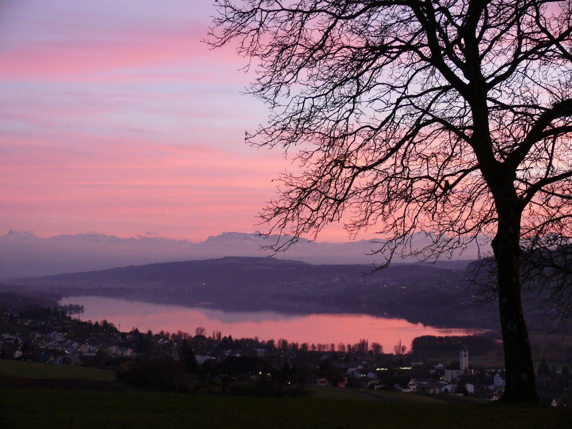 Hotel Restaurant Eichberg Seengen ภายนอก รูปภาพ