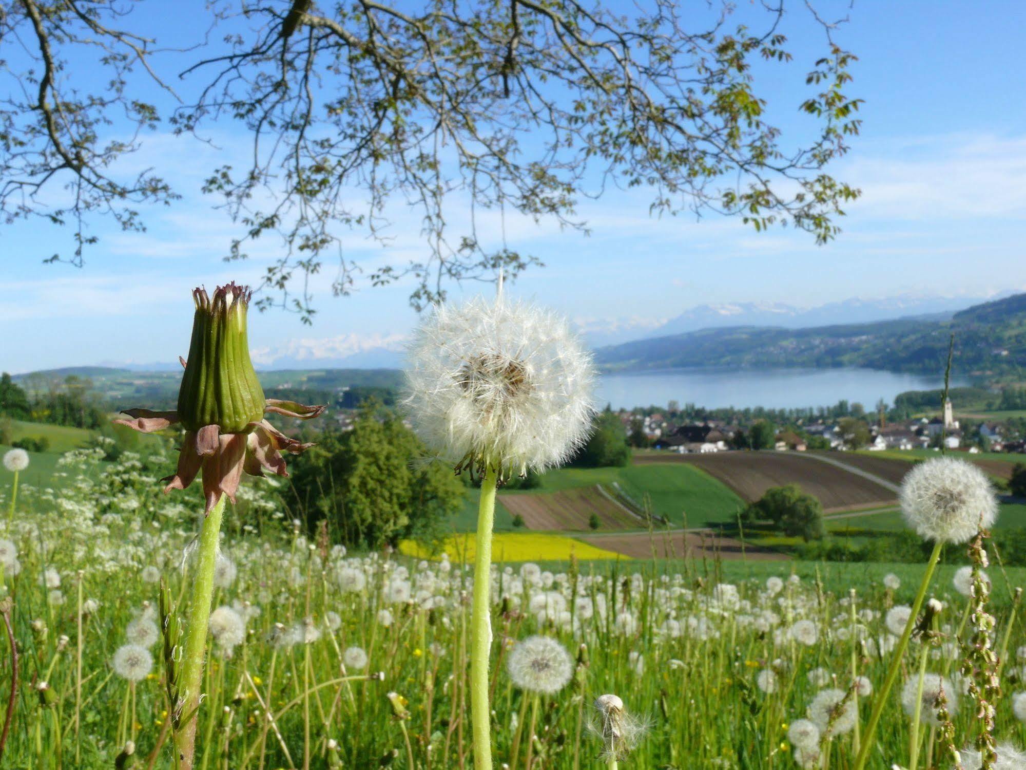 Hotel Restaurant Eichberg Seengen ภายนอก รูปภาพ